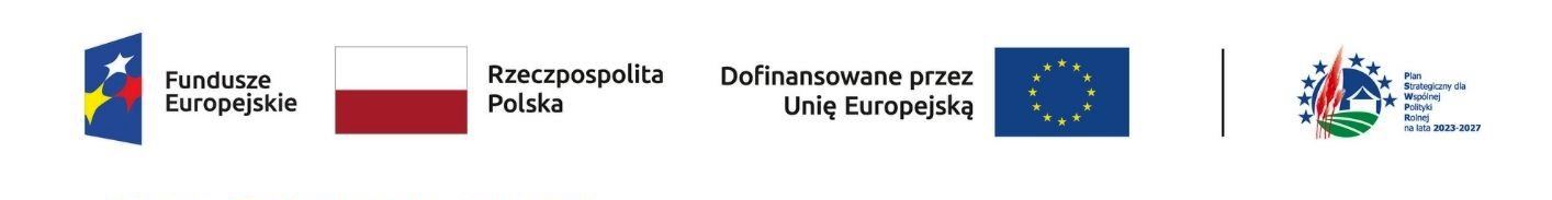 loga sponsorów